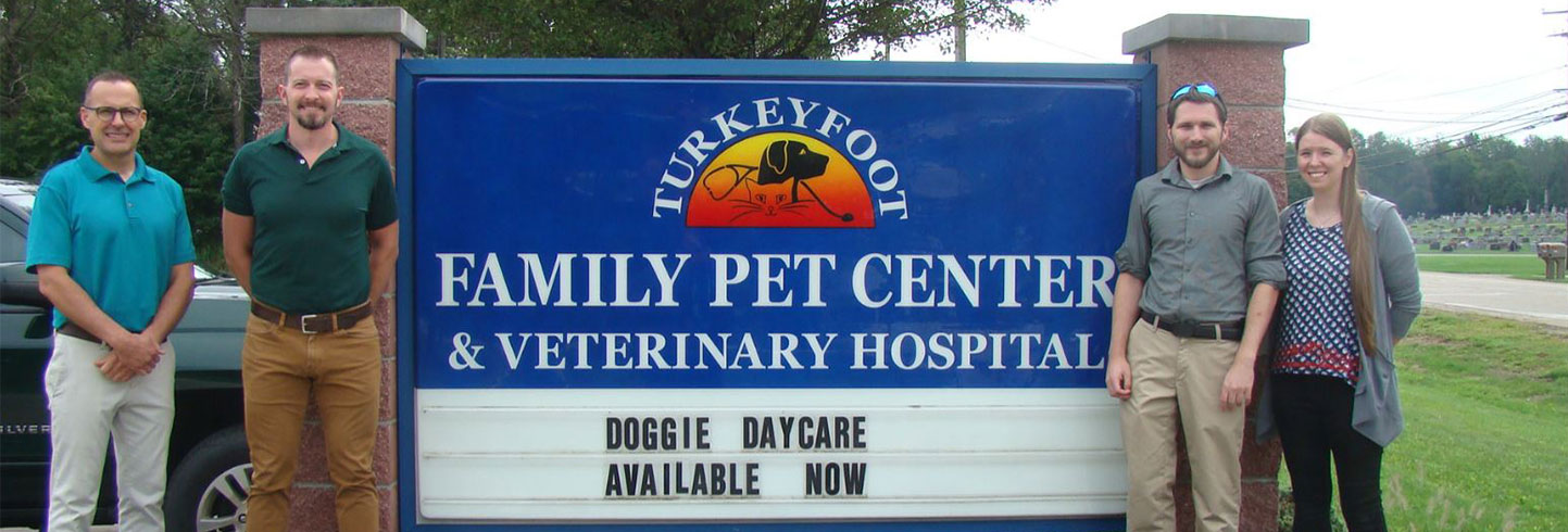 Akron veterinary hospital